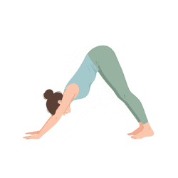 Downward Facing Dog