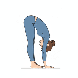 Forward Fold