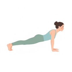 Four-limbed Staff Pose